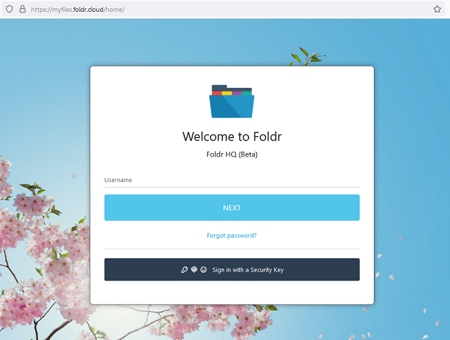 Screenshot: Setup