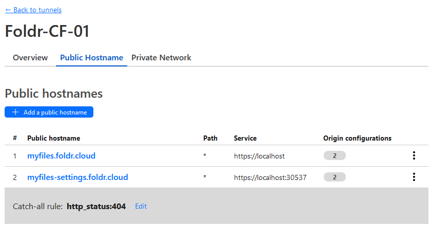 Screenshot: Presenting Foldr Settings (Foldr v4-v9) via Cloudflare Tunnel